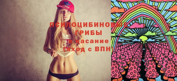 гашик Абаза