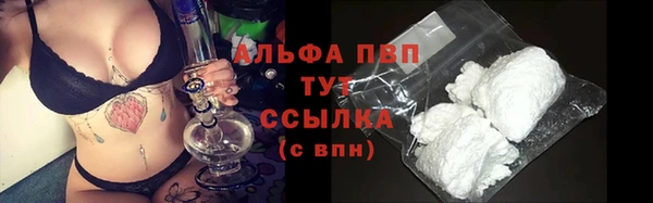 гашик Абаза