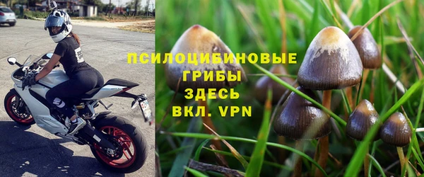 меф Пересвет