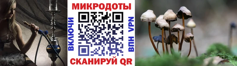 Галлюциногенные грибы мицелий  мориарти официальный сайт  Тбилисская  blacksprut зеркало 